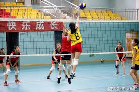 王建民在纽约的巅峰与伤痛一个沉球大师的励志篇章