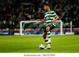 进军美加墨！葡萄牙连续7届晋级世界杯正赛，此前8次参赛2次四强